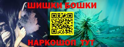 соль ск Можга
