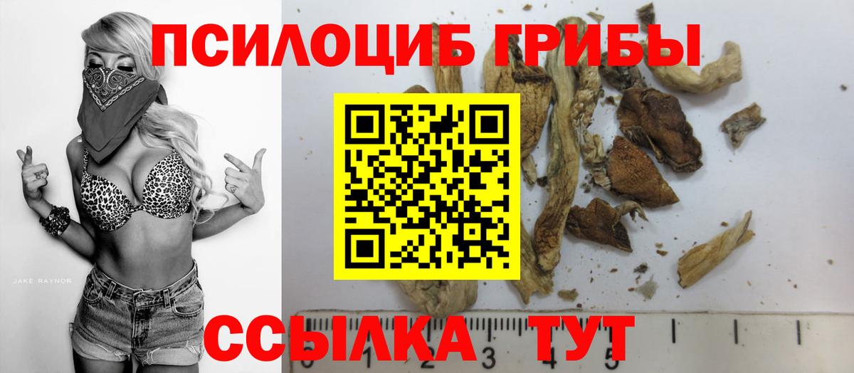 Галлюциногенные грибы Psilocybe  Вход с VPN  Славянск-на-Кубани 